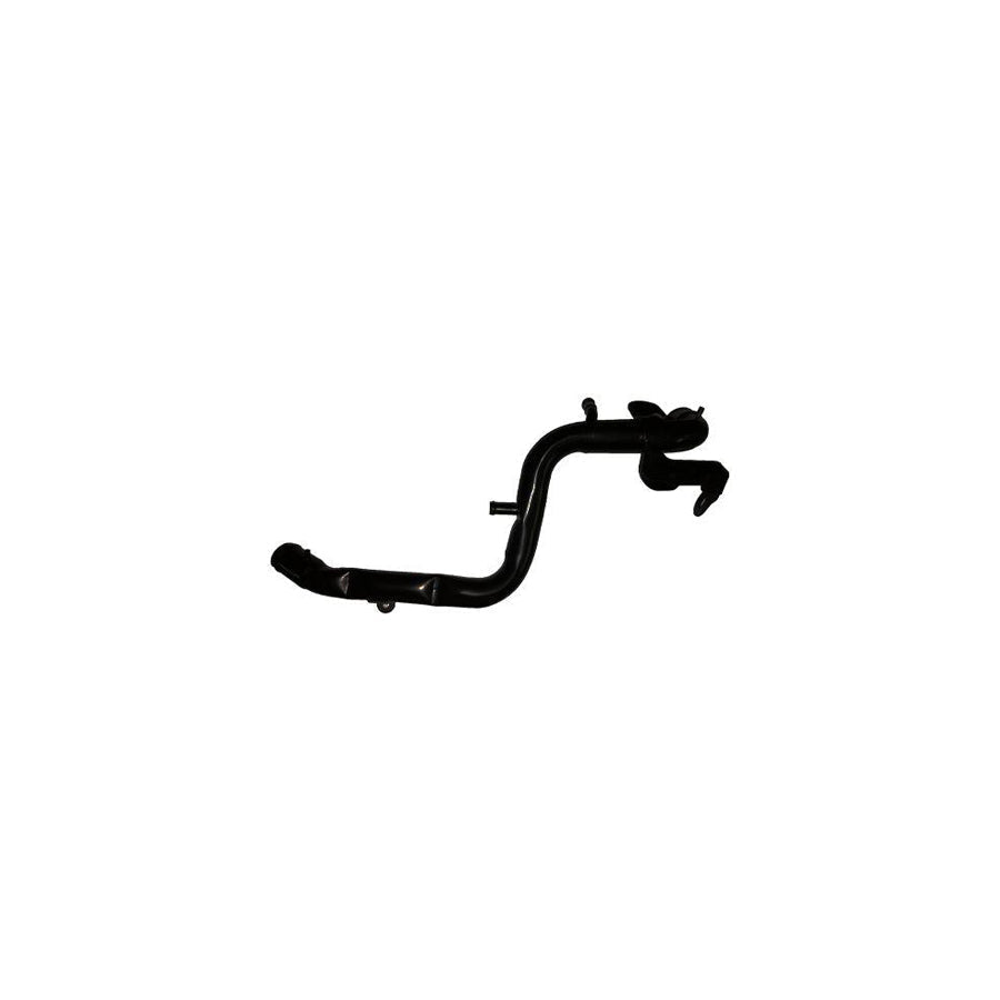 BUGIAD Bsp25004 Coolant Tube