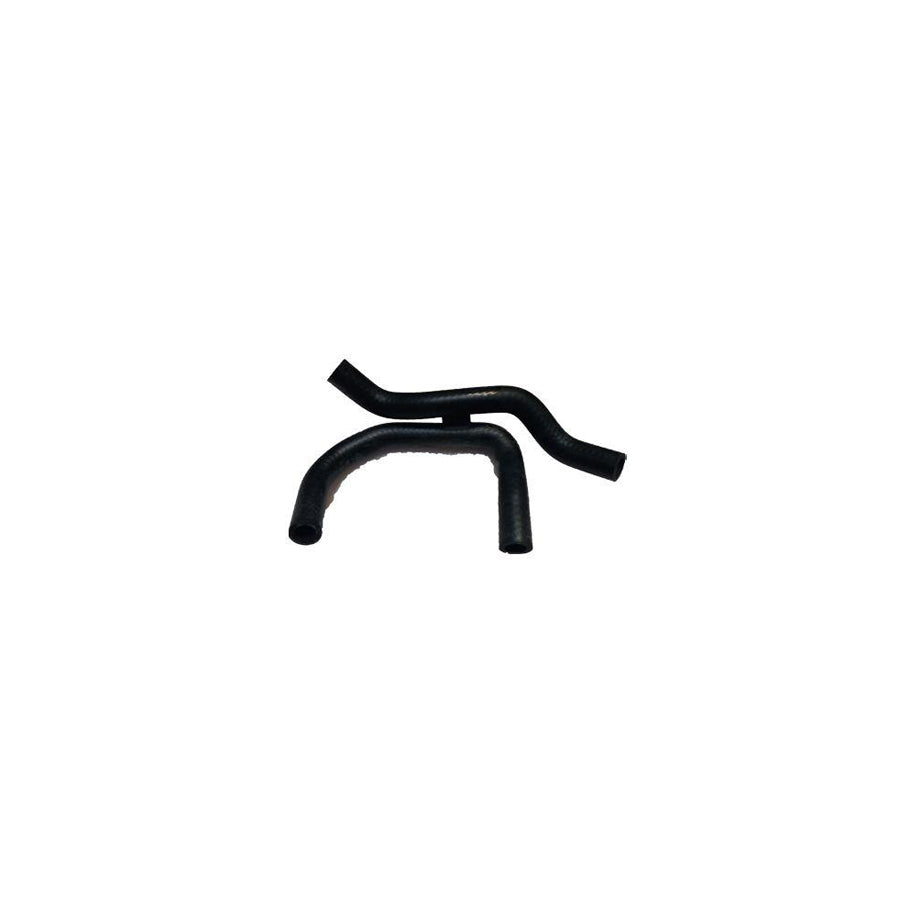 BUGIAD Bsp25005 Radiator Hose