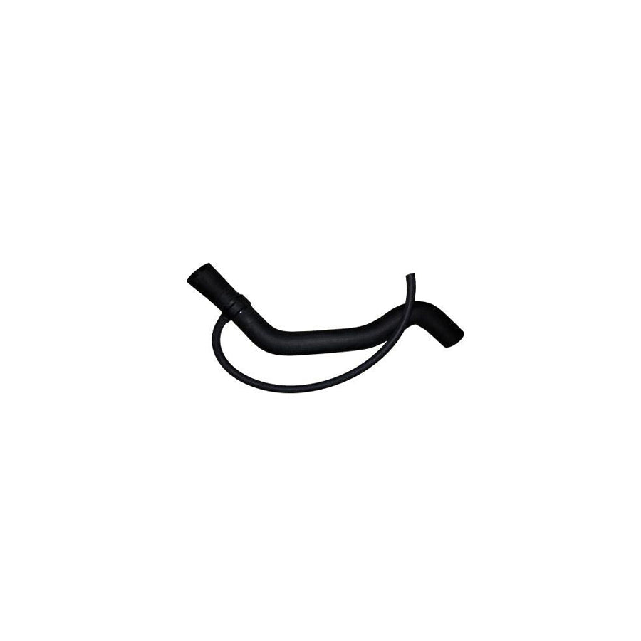 BUGIAD Bsp25038 Radiator Hose for VW Passat