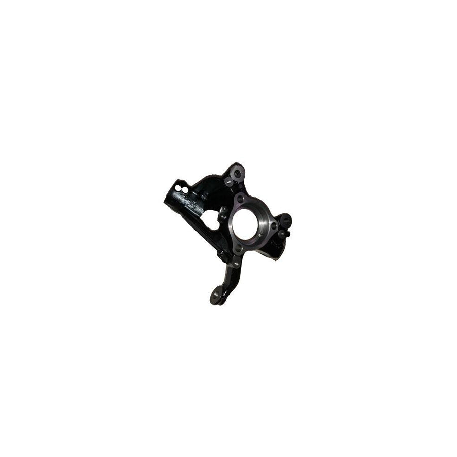 BUGIAD Bsp25049 Steering Knuckle