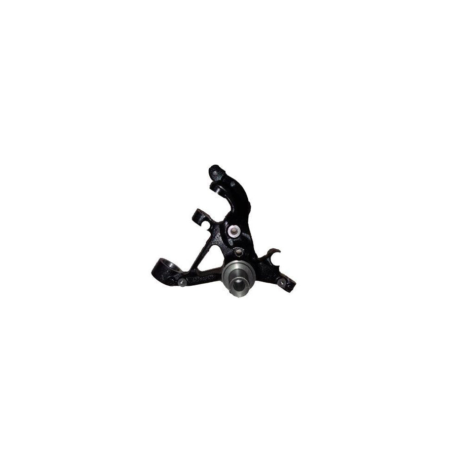 BUGIAD Bsp25052 Steering Knuckle