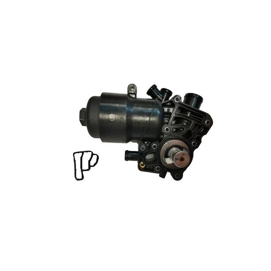 BUGIAD Bsp25175 Oil Filter Housing