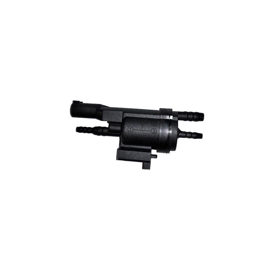 BUGIAD Bsp25185 Valve, Egr Exhaust Control