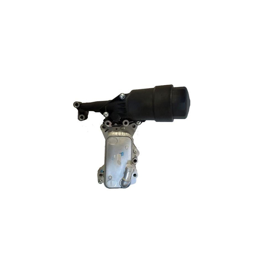BUGIAD Bsp25196 Engine Oil Cooler