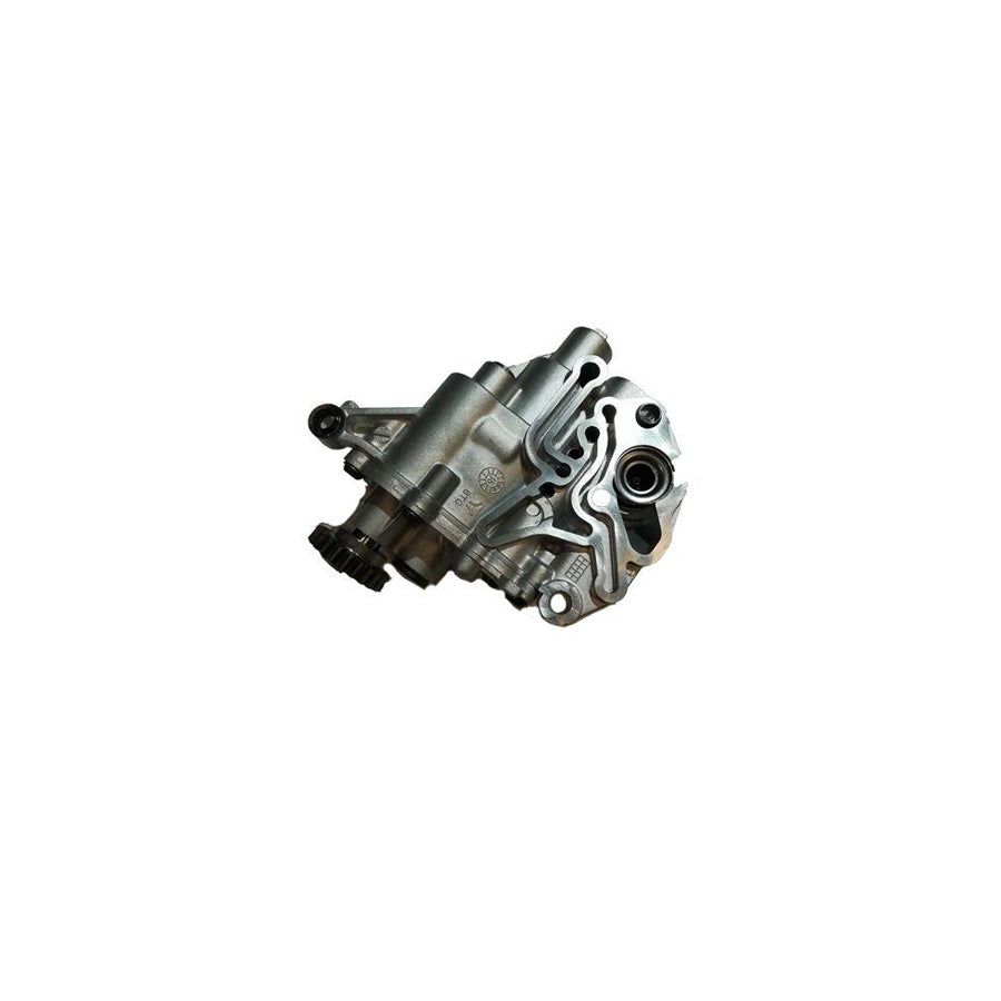 BUGIAD Bsp25207 Oil Pump