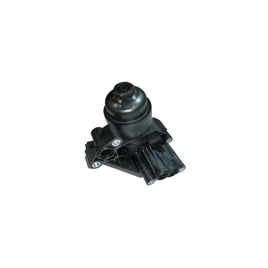 BUGIAD Bsp25223 Oil Filter Housing
