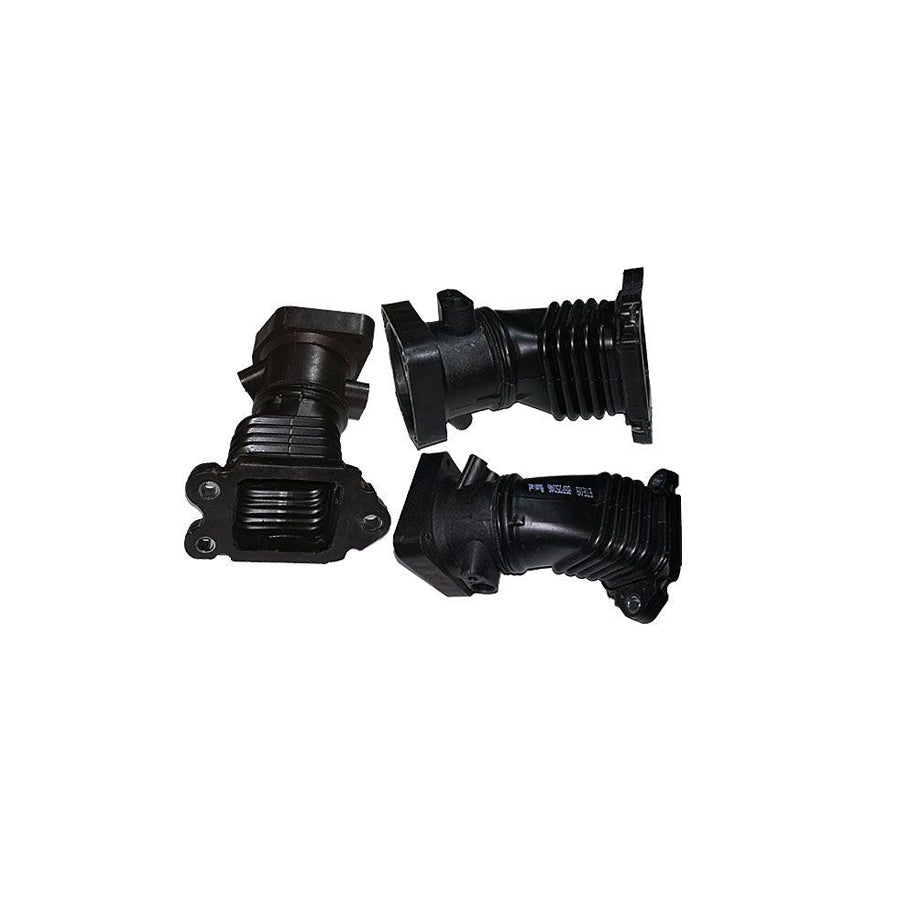 BUGIAD Bsp25246 Intake Pipe, Air Filter