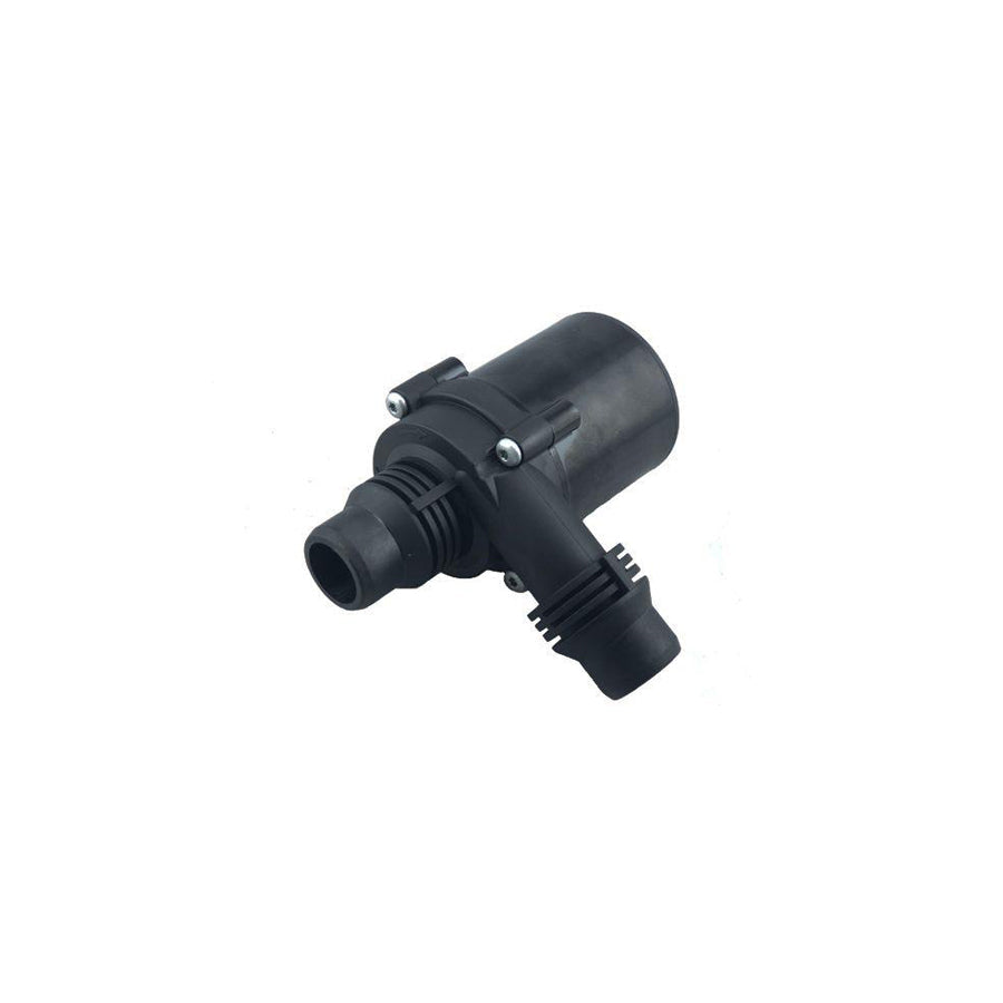 BUGIAD Bwp52004 Additional Water Pump