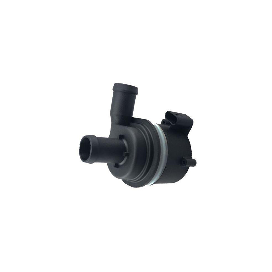 BUGIAD Bwp52009 Additional Water Pump