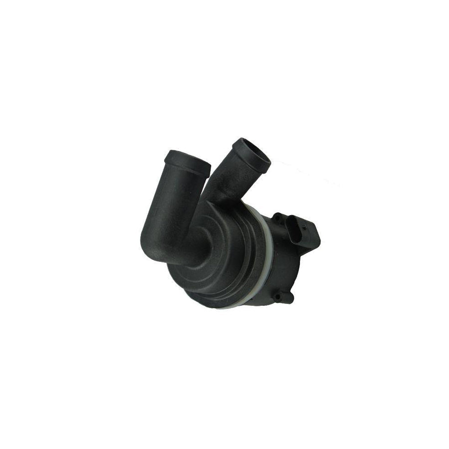 BUGIAD Bwp52010 Additional Water Pump