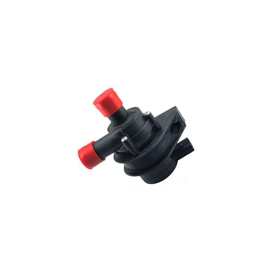 BUGIAD Bwp52014 Additional Water Pump