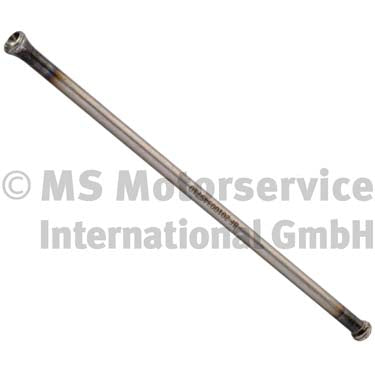 BF 20100345710 Pushrod