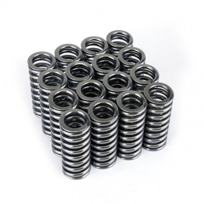 Skunk2 Racing Skunk2 Alpha Series Honda D Series VTEC Valve Spring Set