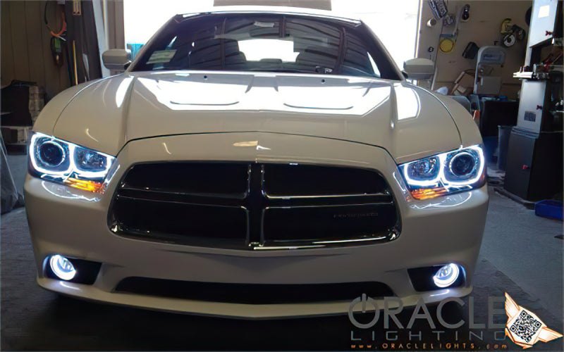 ORACLE Lighting Oracle 11-12 Dodge Charger LED Fog Light Halo Kit - Blue