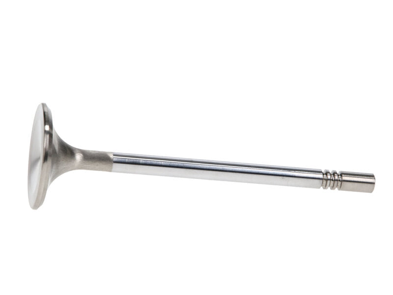 Manley Performance Manley Ford Racing Cylinder Head 4.6L & 5.4L SOHC 36.0mm Race Master Exhaust Valves *Set of 8*