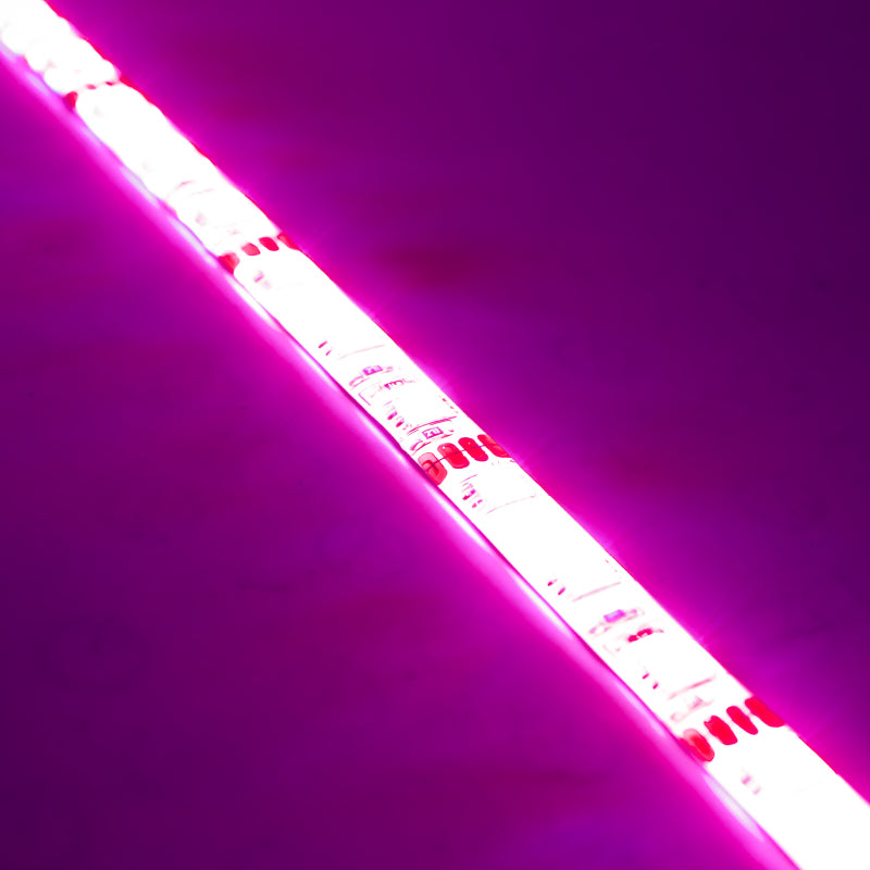 ORACLE Lighting Oracle Engine Bay LED Kit 48in - Pink