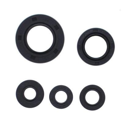Vertex Pistons Vertex Gaskets 12-13 Honda TRX500FM Oil Seal Kit