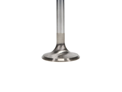 Manley Performance Manley Ford 2300 1.590 in Esslingerin Race Master Exhaust Valve - Single