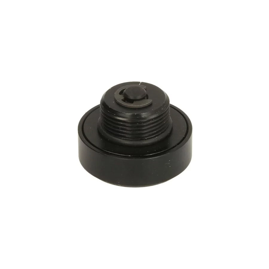 Cargoparts Cargo-Zp021 Fuel Drain Plug