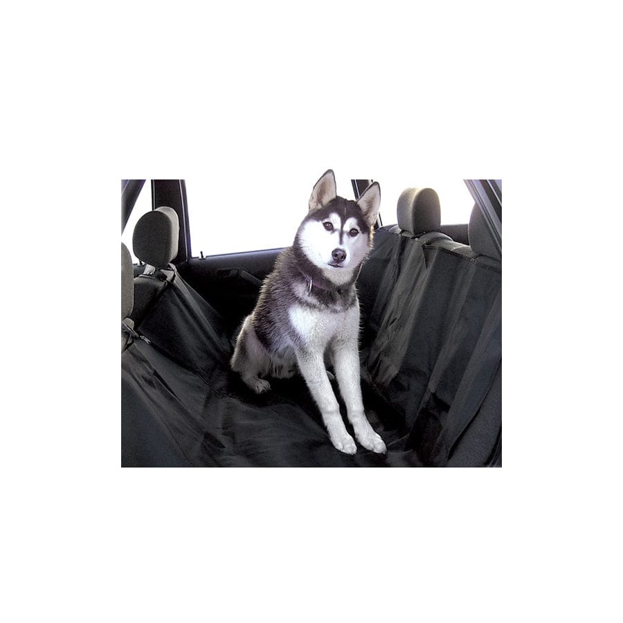 Carpoint 0323204 Pet Car Protector