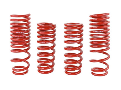 Skunk2 Racing Skunk2 90-93 Acura Integra Lowering Springs (2.50in - 2.25in.) (Set of 4)