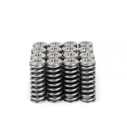 Skunk2 Racing Skunk2 Alpha Series Honda/Acura D Series Valve Spring and Titanium Retainer Kit