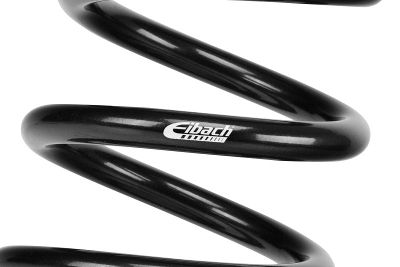 Eibach Pro-Kit for 05-09 Chrysler 300C / 05-08 Dodge Magnum (both 2WD)