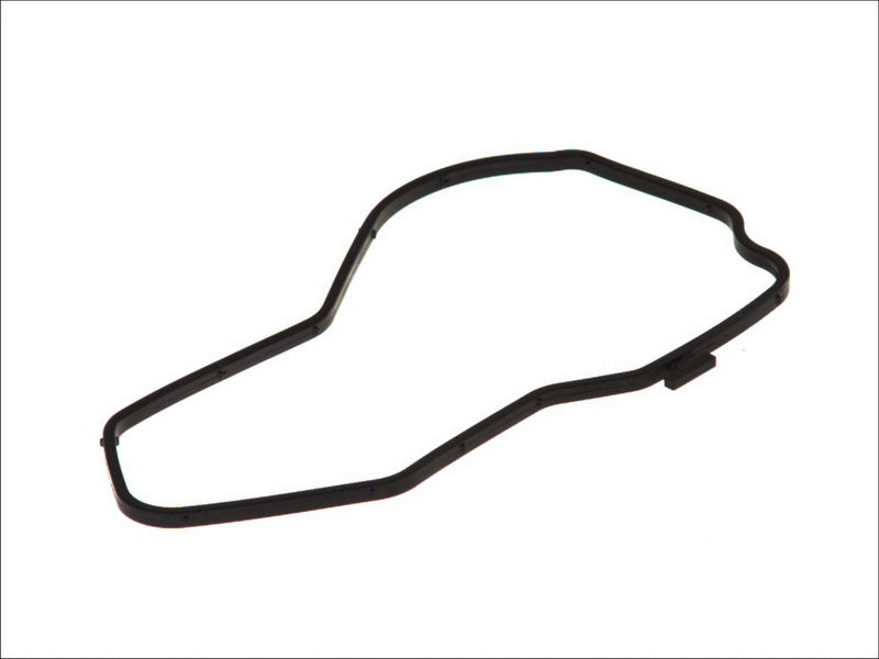 DT A/C 1.24217 Water Pump Gasket