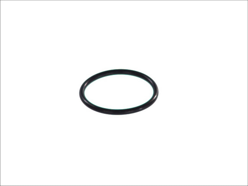 HANS PRIES 100-576 Fuel Pump Gasket