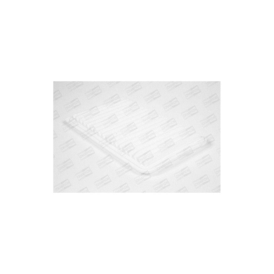 Champion U832/606 Air Filter