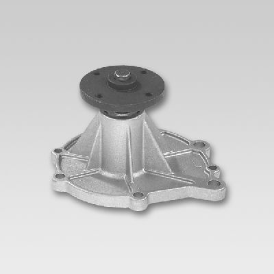 HEPU P750 Water Pump