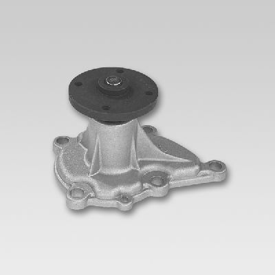 HEPU P751 Water Pump