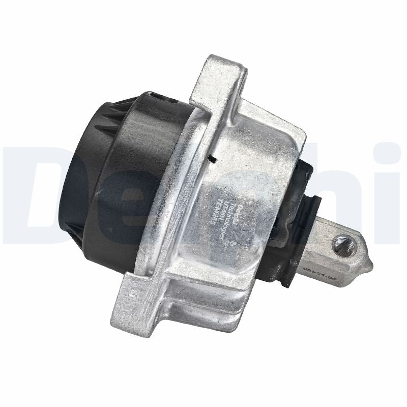 DELPHI TEM255 Engine Mount