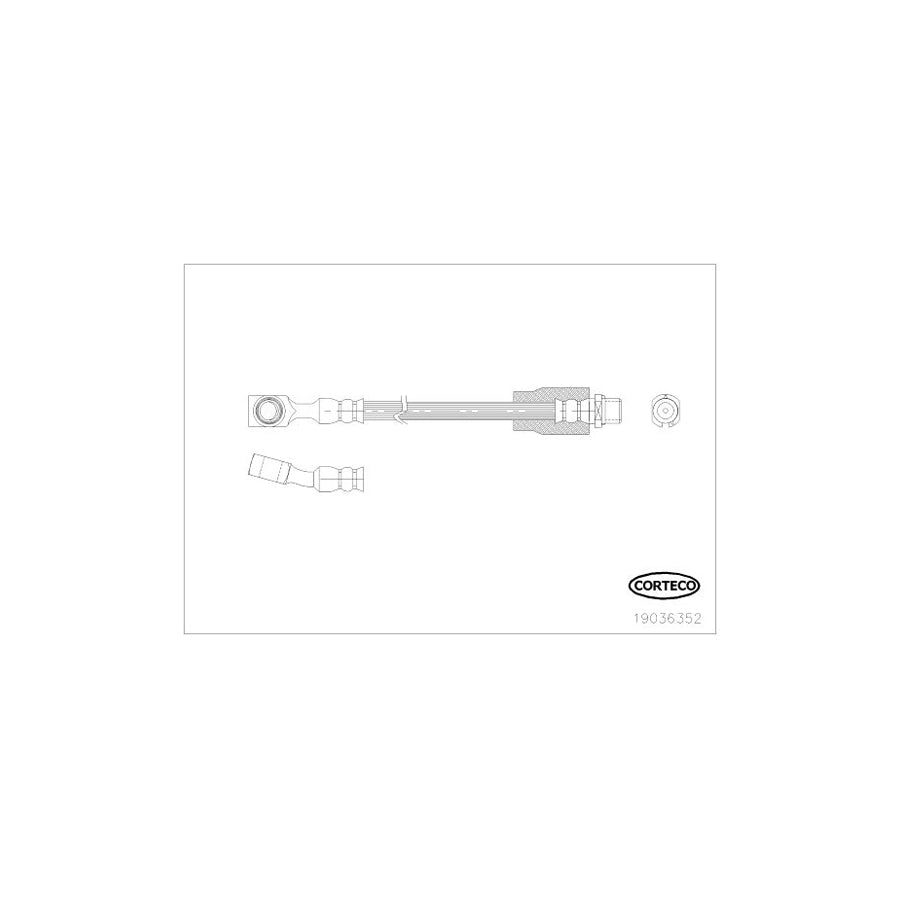 Corteco 19036352 Brake Hose