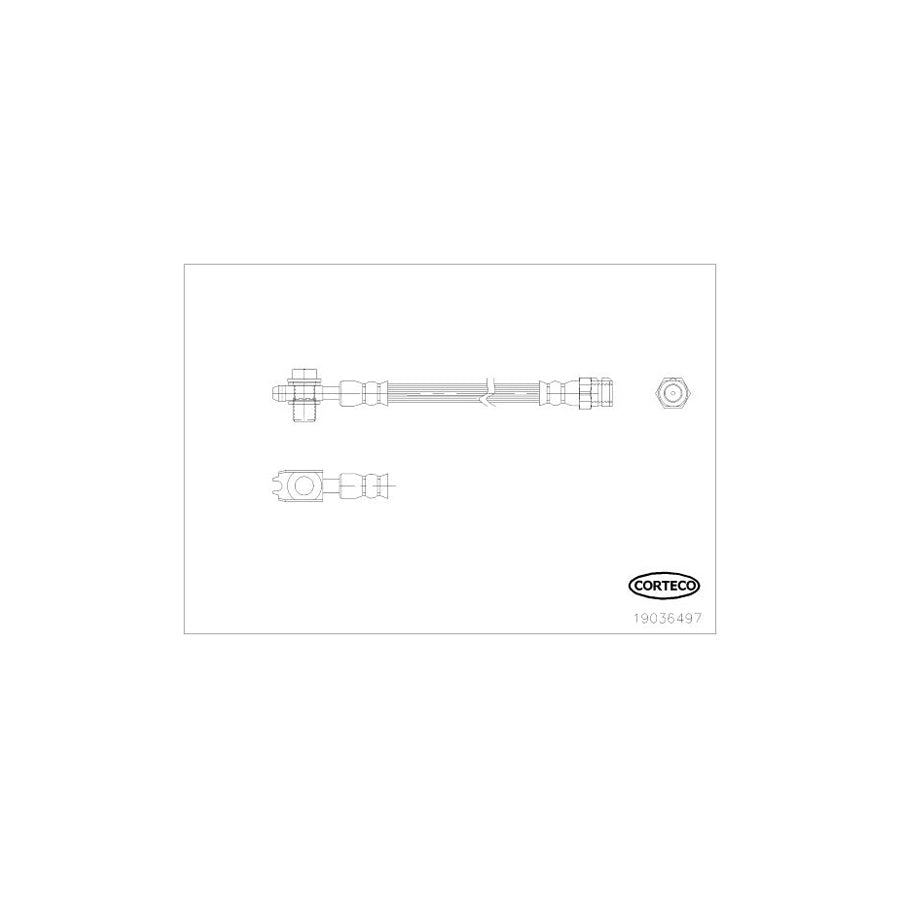 Corteco 19036497 Brake Hose