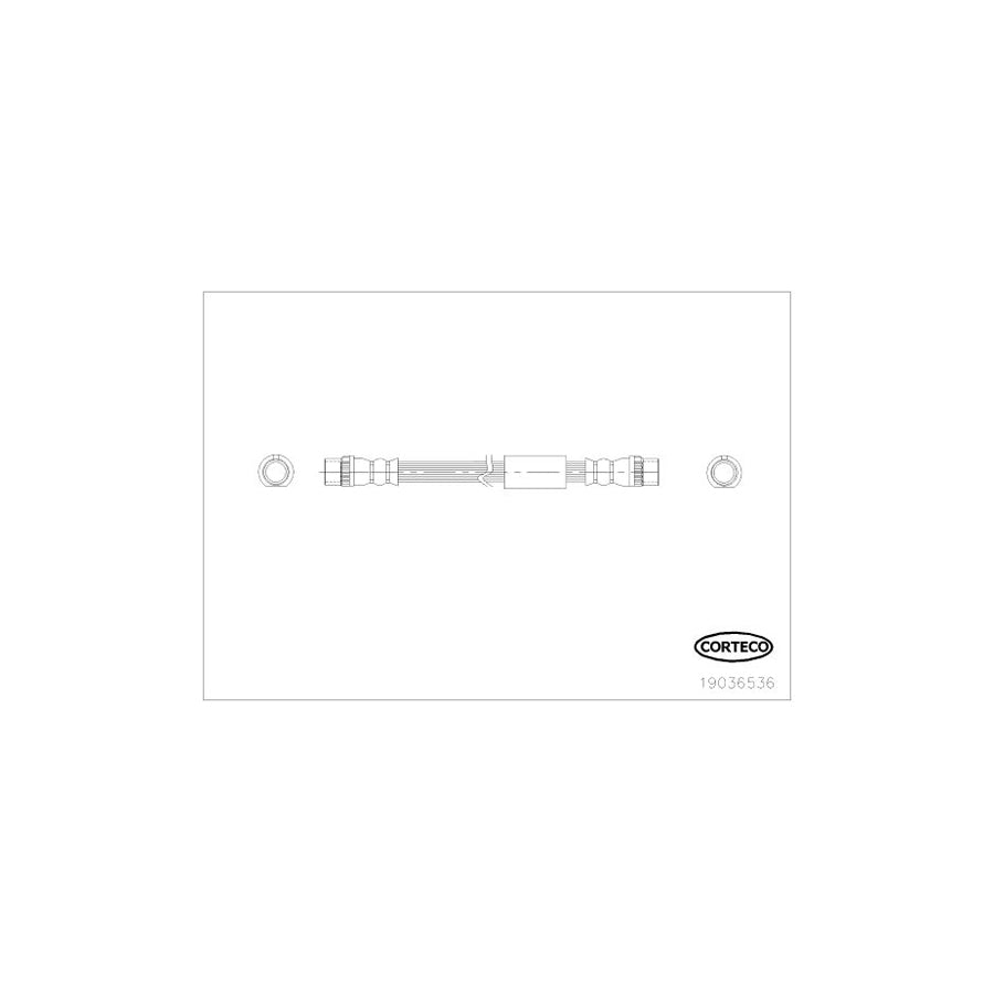 Corteco 19036536 Brake Hose for Fiat Scudo