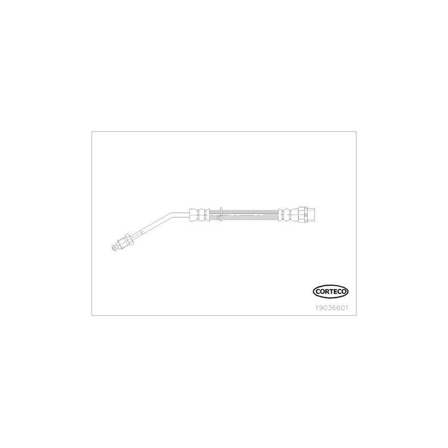 Corteco 19036601 Brake Hose for BMW Z4