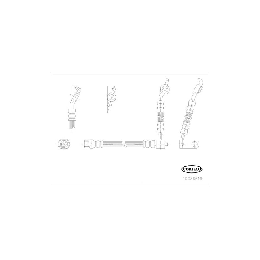 Corteco 19036616 Brake Hose for Toyota Yaris I Hatchback (P1)