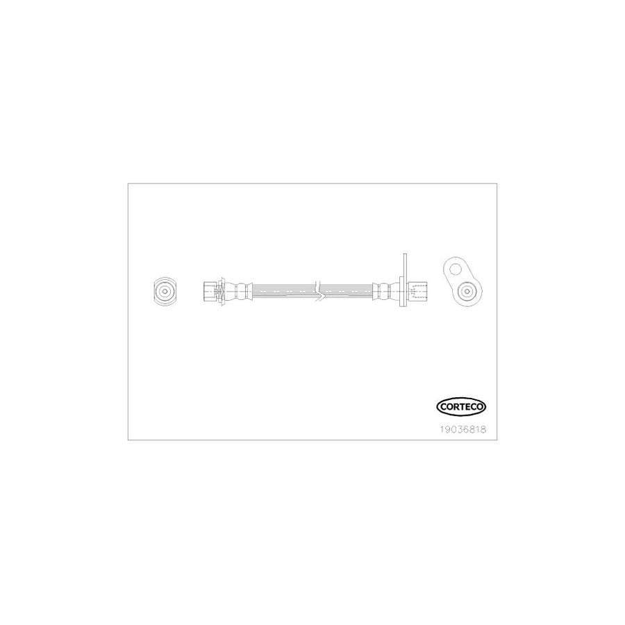 Corteco 19036818 Brake Hose