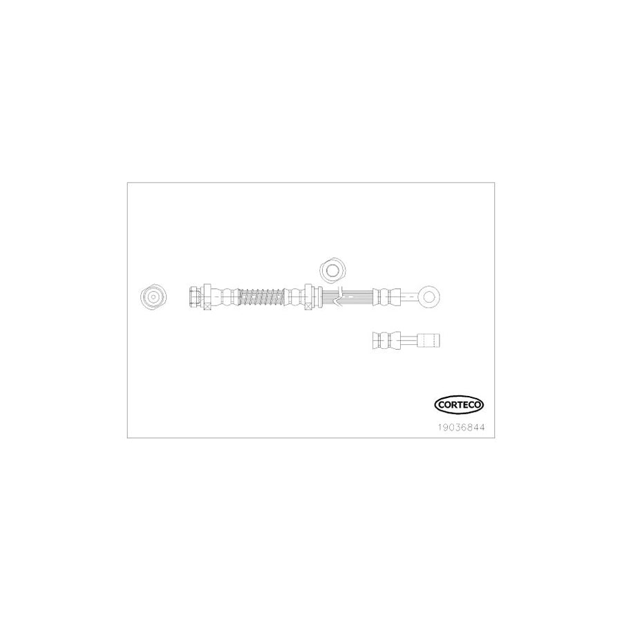 Corteco 19036844 Brake Hose for Hyundai I10 I (Pa)