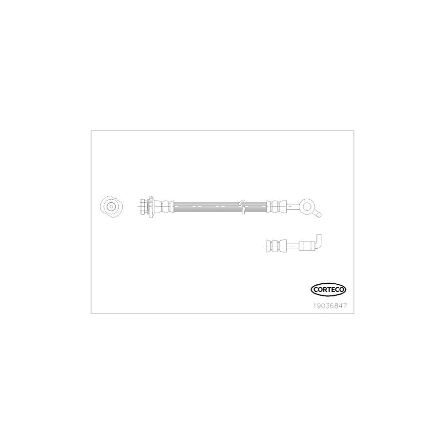 Corteco 19036847 Brake Hose
