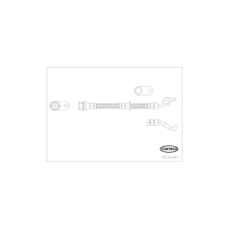 Corteco 19036981 Brake Hose