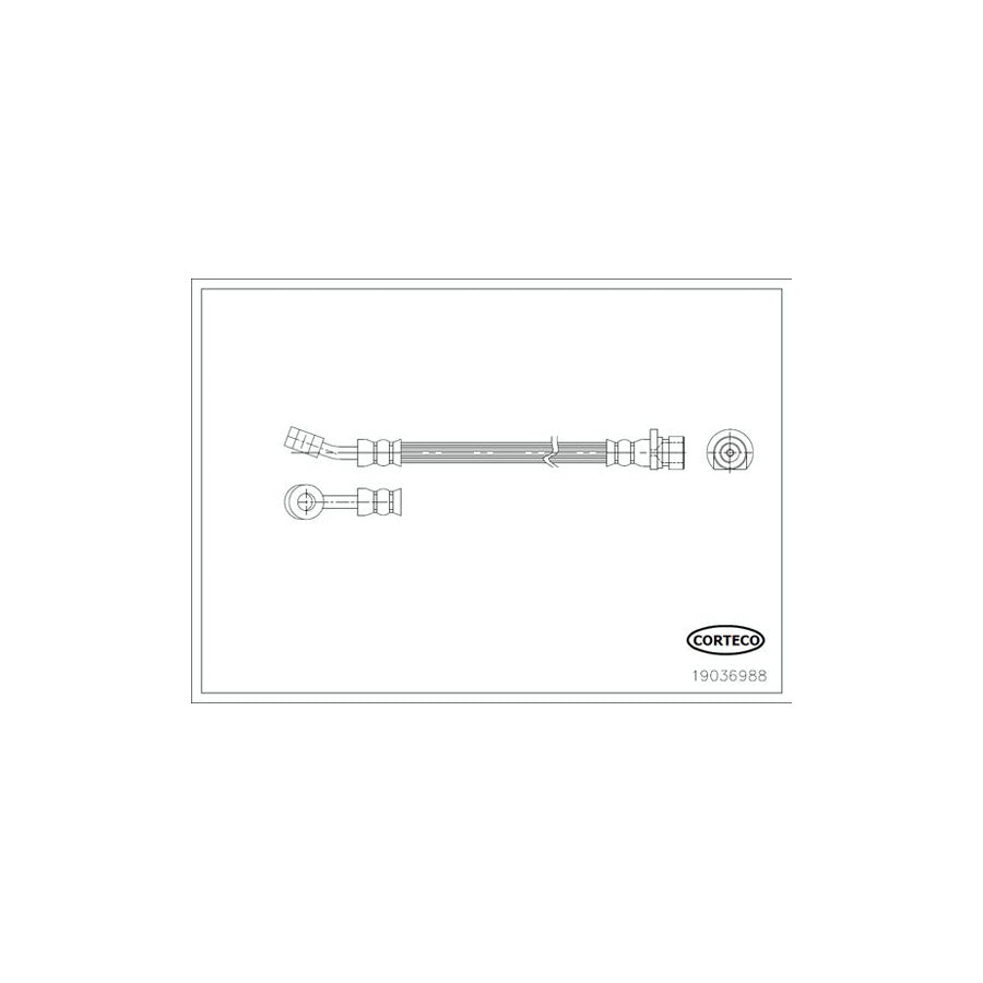 Corteco 19036988 Brake Hose
