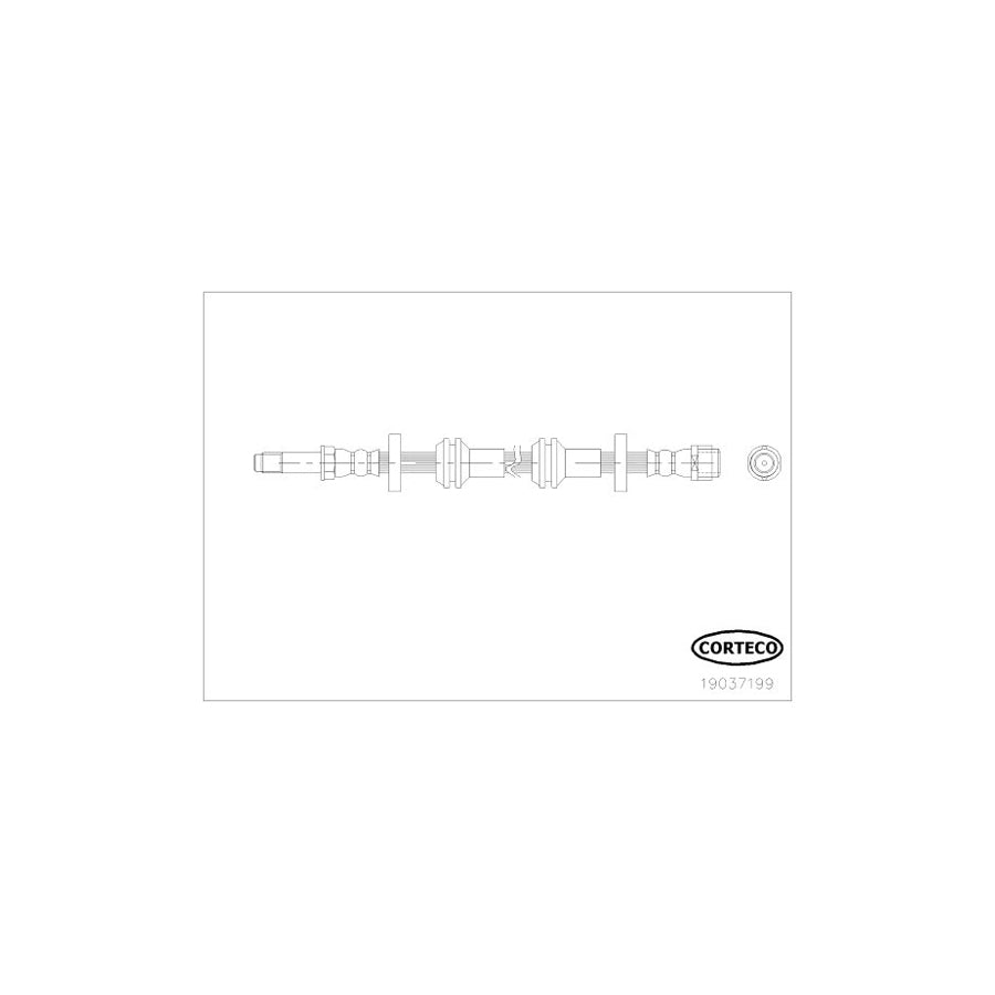 Corteco 19037199 Brake Hose