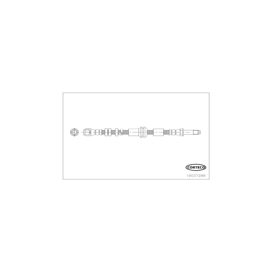 Corteco 19037288 Brake Hose for Audi A6