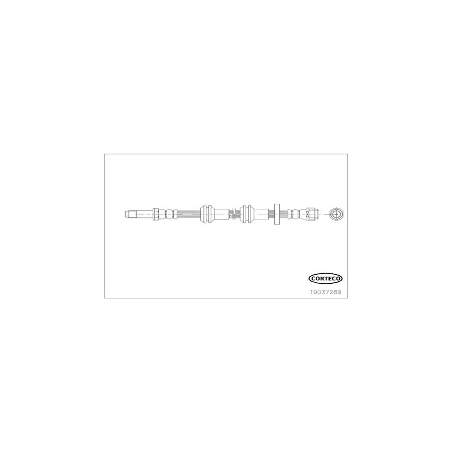 Corteco 19037289 Brake Hose for Audi A6