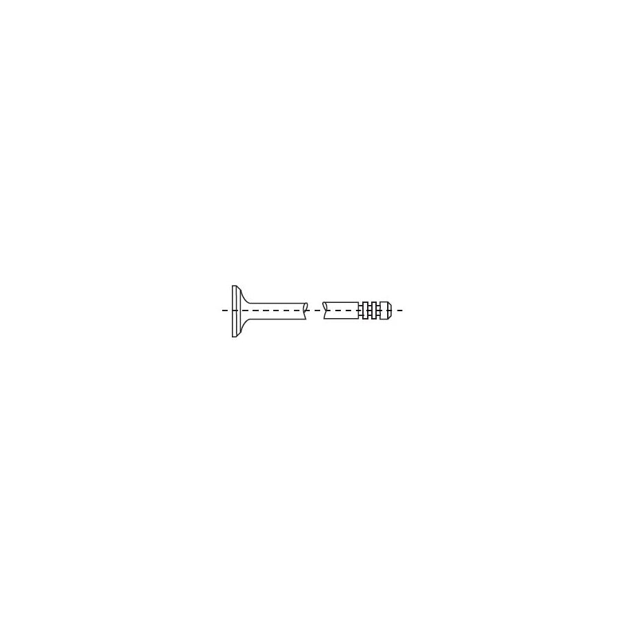 Corteco 550324B Exhaust Valve