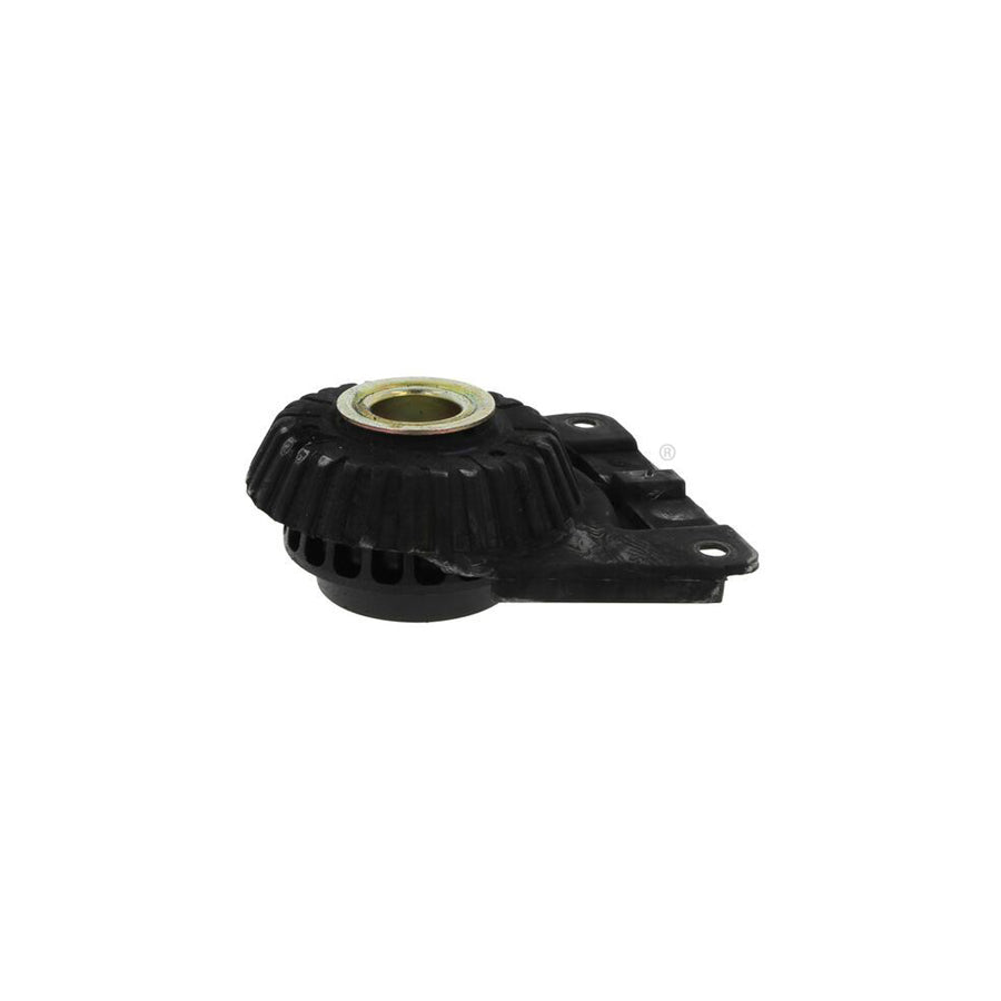 Corteco 80000887 Top Strut Mount for Ford Mondeo