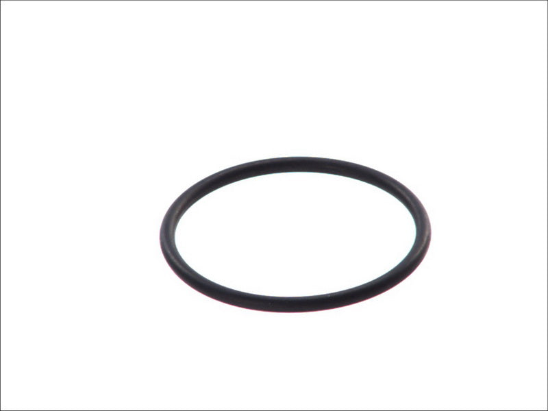 HANS PRIES 202-215 Fuel Sender Unit Seal