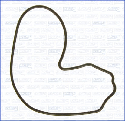 AJUSA AJU01109900 Water Pump Gasket